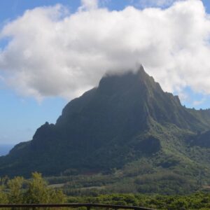 AustraliaTours_Moorea – Circle Island Tour & Belvédère – Half day (2) copy©TahitiNuiTravel
