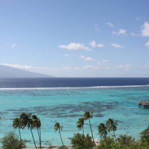 AustraliaTours_Moorea – Circle Island Tour & Belvédère – Half day (4) copy©TahitiNuiTravel