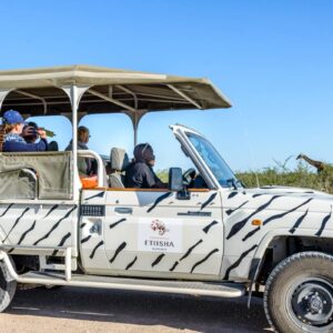 ETOSHA SAFARI CAMP – GAME DRIVE (1) copy
