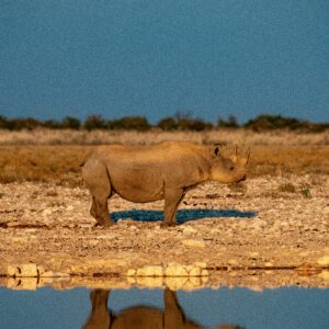 Etosha National Park