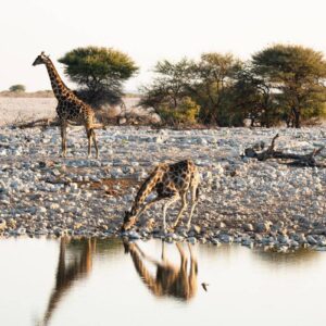 InStyle Touristik – Namibia – © Namibia Tourism Board10_53920995788_o copy