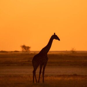 InStyle Touristik – Namibia – © Namibia Tourism Board11_53919853812_o copy