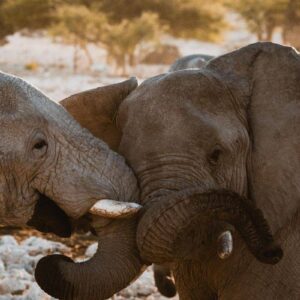InStyle Touristik – Namibia – © Namibia Tourism Board14_53921194350_o copy