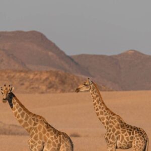 InStyle Touristik – Namibia – © Namibia Tourism Board645a5761_53038377939_o copy