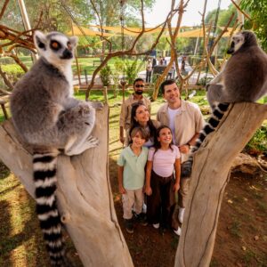 InstyleTouristik_Al Ain Zoo – Experiences – Lemur Walk – Euro Family copy_copyrightAbuDhabiTourism