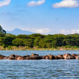 InstyleTouristik_Lake Nakuru National Park_bibhash-polygon-cafe-banerjee-krPO_vfPHVQ_©unsplash copy