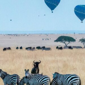 InstyleTouristik_Masai Mara_sutirta-budiman-89IBtfoz3Vw_©unsplash copy