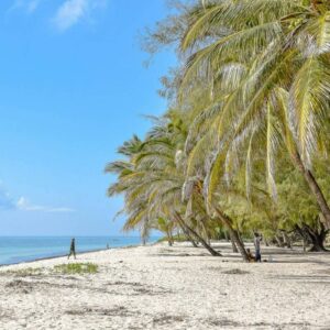 InstyleTouristik_Mombasa_abdullatif-mutisya-EssDMofeuac_©unsplash copy
