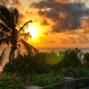 InstyleTouristik_Mombasa_wendy-brooks-X-igSZnNQVA_©unsplash copy
