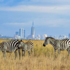 InstyleTouristik_Nairobi_grace-nandi-FzkGHmvvsto_©unsplash copy