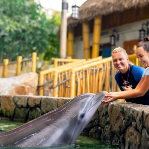 InstyleTouristik_SeaWorld Yas Islad, Abu Dhabi – Dolphin Encounter – Euro kid copy_©Abu Dhabi Tourism