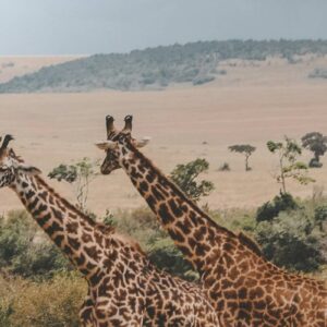 InstyleTouristik_harshil-gudka-pU-9BYqjhyo_©unsplash copy