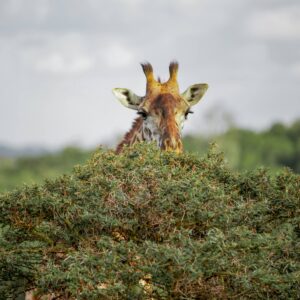 InstyleTouristik_©moses-londo-jrwvMiaqHt8-unsplash
