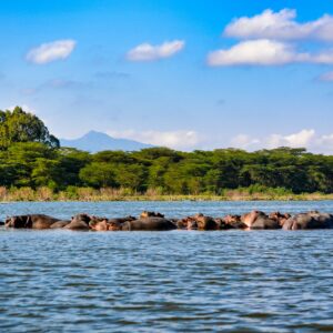 Lake Nakuru National Park