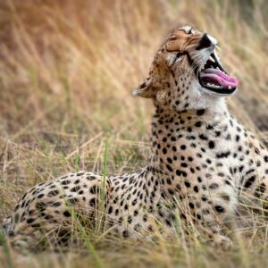 Serengeti National Park