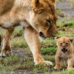 Serengeti National Park