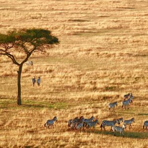 Serengeti National Park
