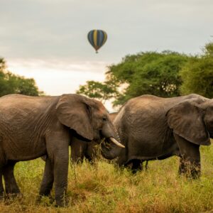 Tarangire National Park