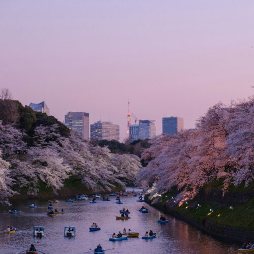 Gruppenreise Japan: Tokio, Kyoto & Mount Fuji