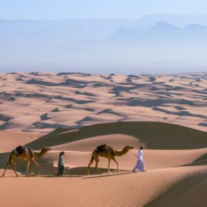 InstyleTouristik_Camels in the desert © Ministry of Heritage & Tourism Sultanate of Oman copy
