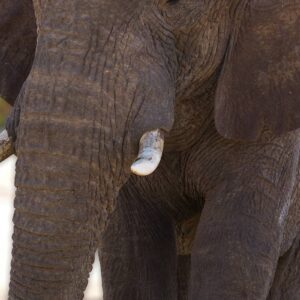 InstyleTouristik_NamibiaCircle_©jean-woloszczyk