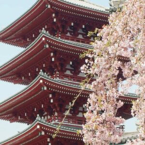 InstyleTouristik_©yu-kato-cddaZDt6uRw-unsplash
