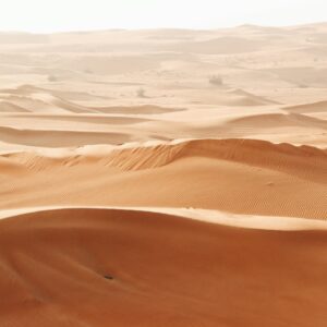 Wahiba Sands