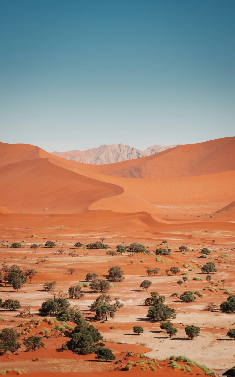jules-bassoleil-3o1QkWJ12RA-unsplash
