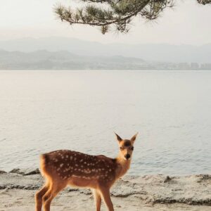 InstyleTouristik_hien-nguyen-Kw8qIELrQ-s-©unsplash
