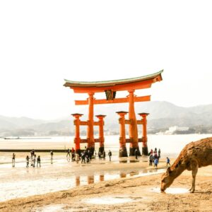 InstyleTouristik_joan-tran-UxP1_RUV2B8-©unsplash