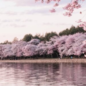 InstyleTouristik_mark-tegethoff-NMLv5HQZnK4-©unsplash