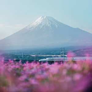 spenser-sembrat-SxhPXO18UTQ-unsplash (1)