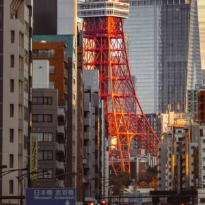 wenhao-ruan-Xbs9DXFUR4U-unsplash